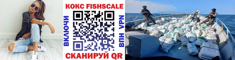 где найти наркотики  omg tor  Кокаин Fish Scale  Инта 