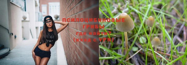 скорость Нея