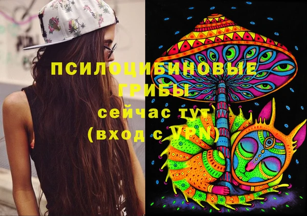 скорость Анива