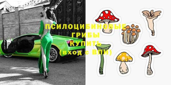 скорость Нея