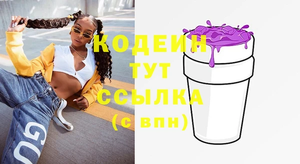 амф Новозыбков