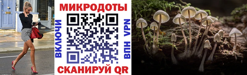 дарк нет как зайти  Инта  Псилоцибиновые грибы Magic Shrooms 