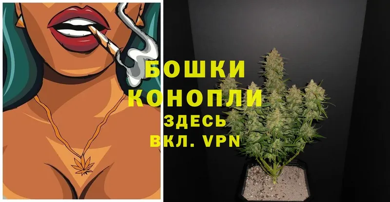 Бошки марихуана THC 21%  Инта 